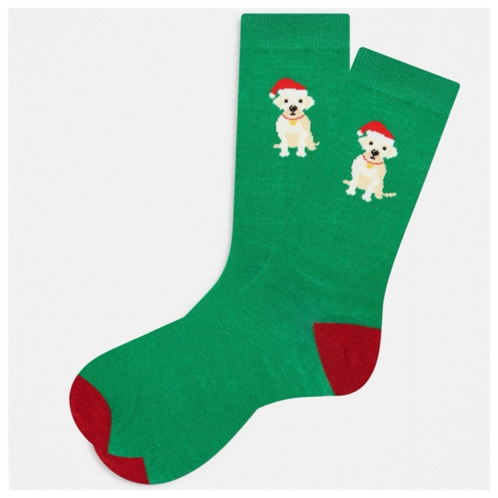 Christmas Santa Hat Dog Socks in Gift Box